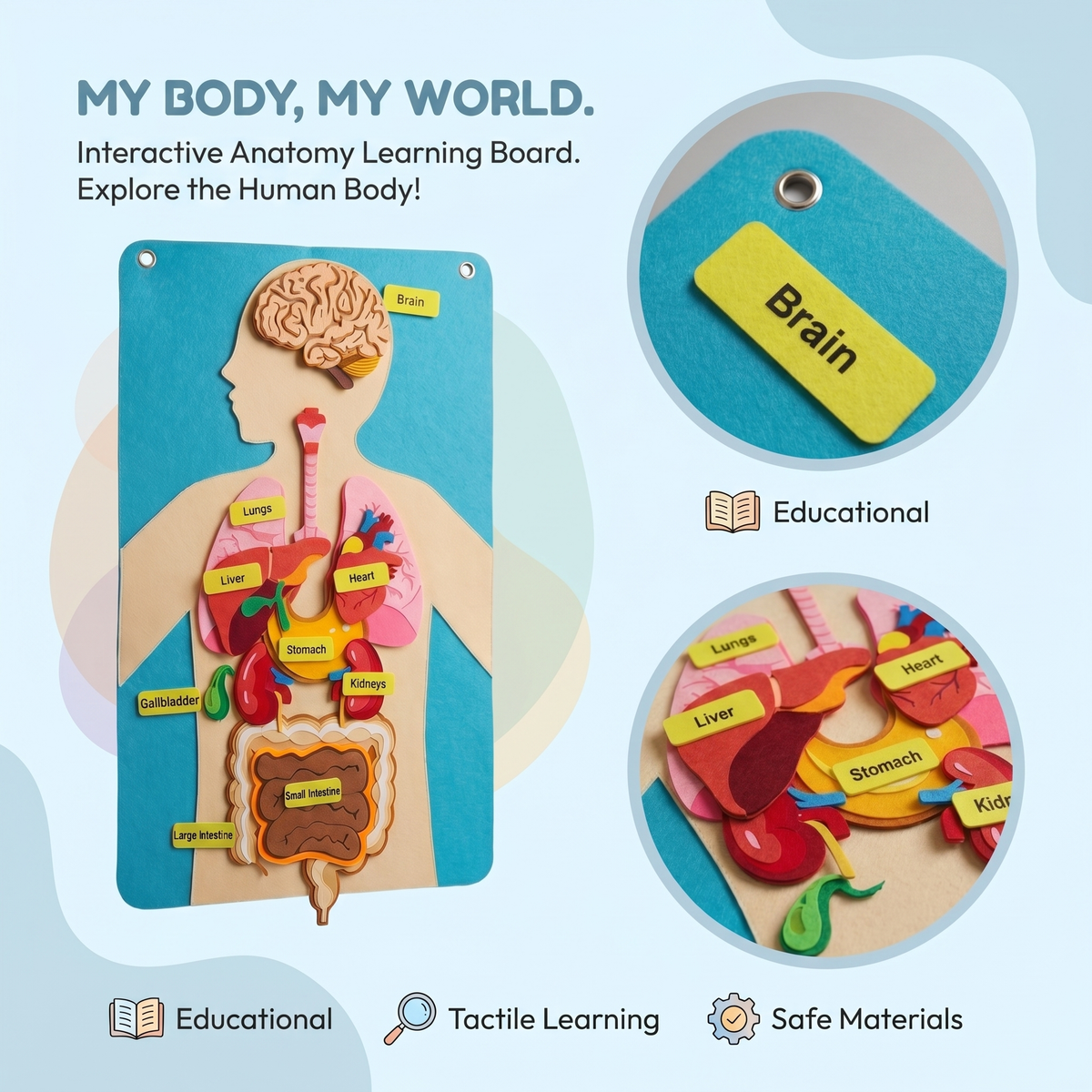 Interactive Human Body Felt Board Educational Toy