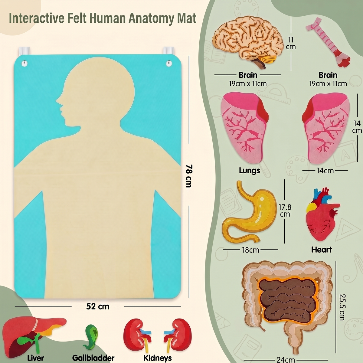 Interactive Human Body Felt Board Educational Toy