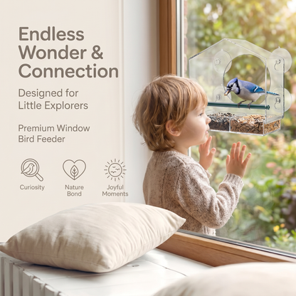 Clear Bird Watching Window Feeder | Family Favourite