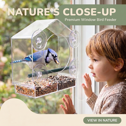 Clear Bird Watching Window Feeder | Family Favourite