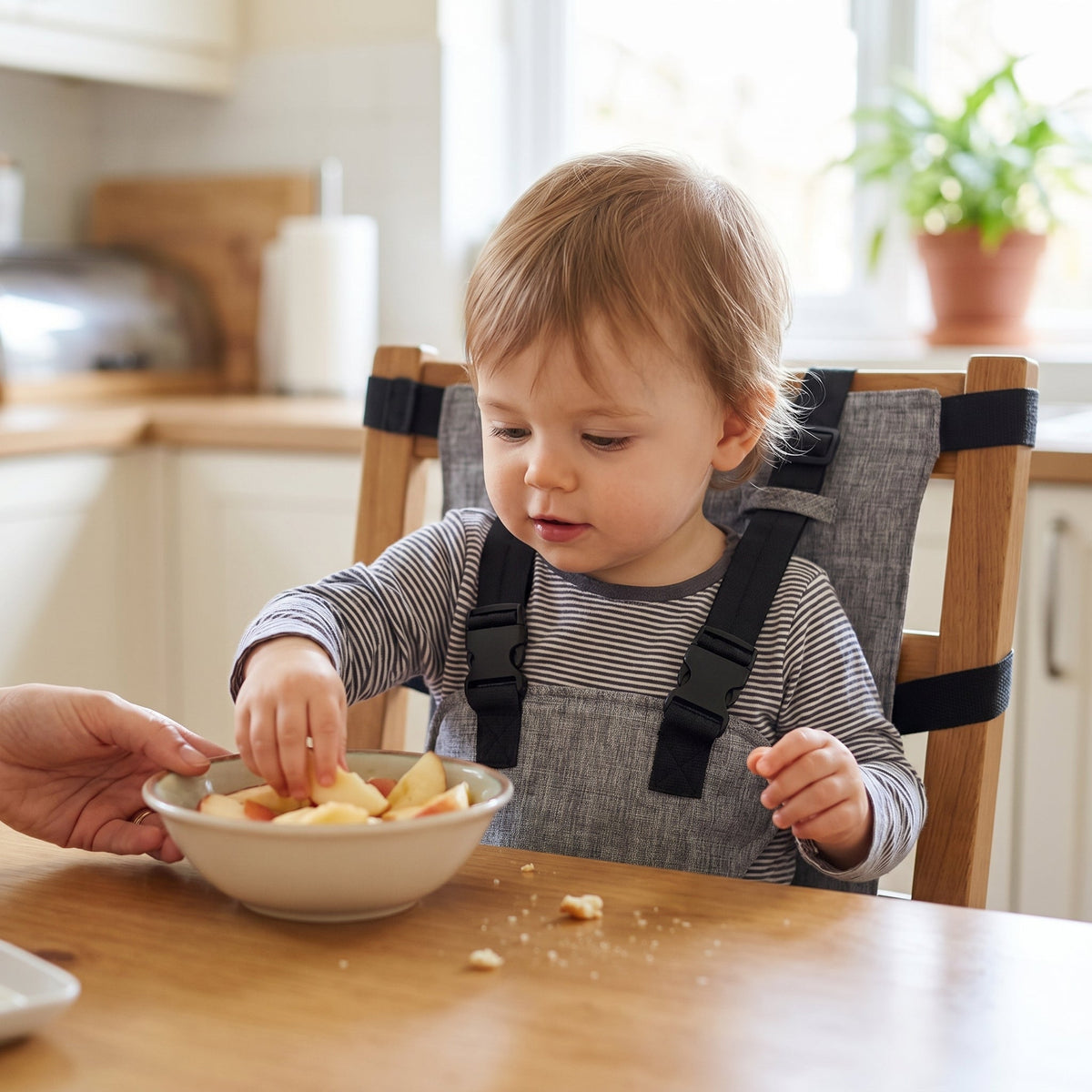 Portable Baby Travel High Chair Harness