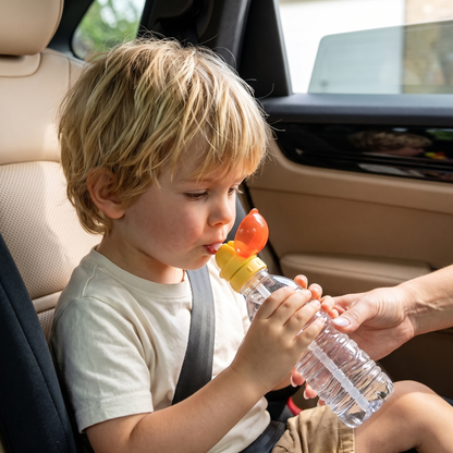 Universal Silicone Bottle Straw Topper (2-pack) | Family Favourite