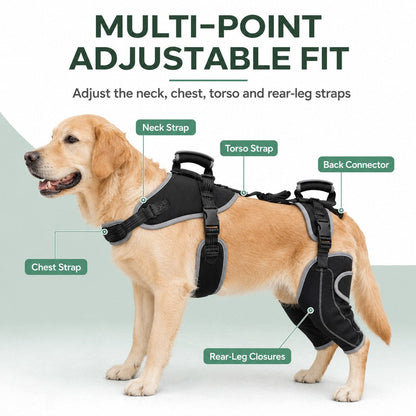 Full-Body Dog Lift Harness with Dual Rear-Leg Support - Easier Standing, Stairs & Car Entry