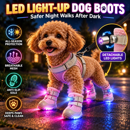 LED Light-Up Dog Boots for Night Walks – Breathable Anti-Slip Paw Protection