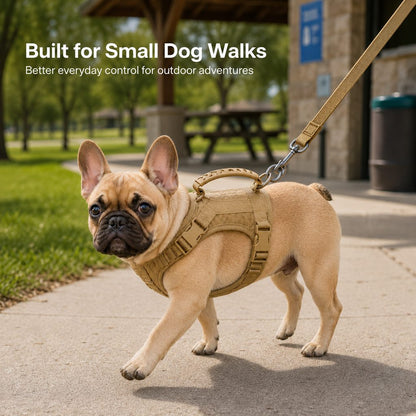 Mini Tactical Pet Harness Vest for Cats & Small Dogs - Outdoor Walking Harness with Handle to Reduce Neck Pulling