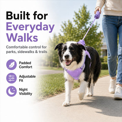 No-Pull Reflective Dog Harness with Built-In Retractable Leash for Safer Daily Walks