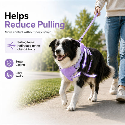 No-Pull Reflective Dog Harness with Built-In Retractable Leash for Safer Daily Walks