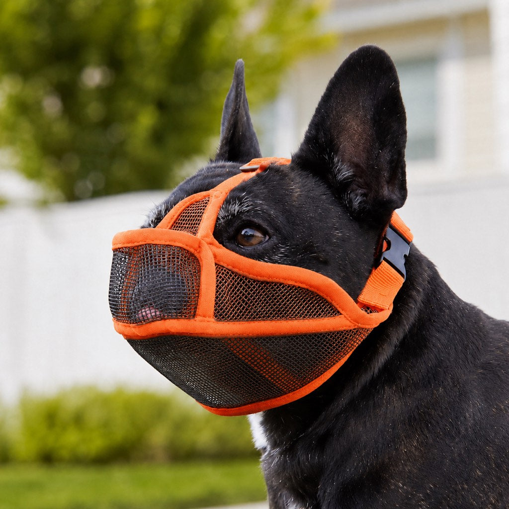 French Bulldog Breathable Mesh Muzzle for Walks, Grooming & Scavenging Control - Drink-Friendly Short-Snout Dog Muzzle