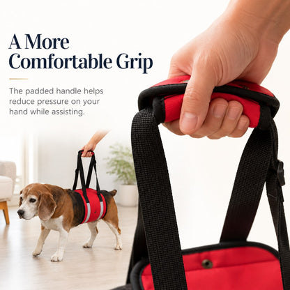 Reflective Dog Lift Support Sling - Belly Assist for Dogs with Limited Mobility on Stairs, Walks & Car Entry