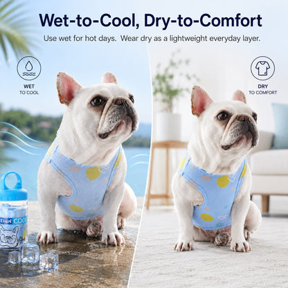 French Bulldog Cooling Vest for Hot Summer Walks