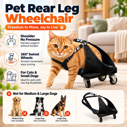 Rear Leg Pet Wheelchair for Cats & Small Dogs – Mobility Support for Weak Hind Legs & Daily Walking