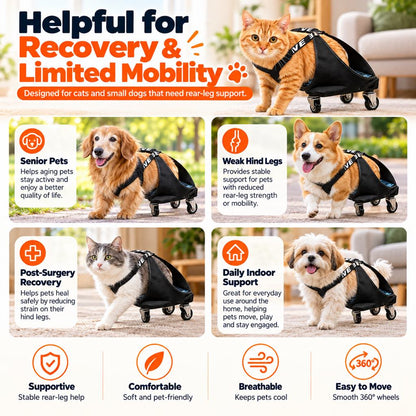 Rear Leg Pet Wheelchair for Cats & Small Dogs – Mobility Support for Weak Hind Legs & Daily Walking