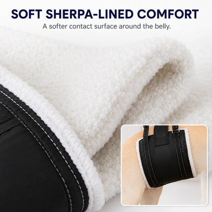 Rear Support Dog Lift Sling for Senior Dogs - Soft Adjustable Hind-Leg Assistance for Stairs, Cars & Potty Breaks