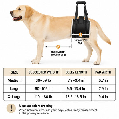 Rear Support Dog Lift Sling for Senior Dogs - Soft Adjustable Hind-Leg Assistance for Stairs, Cars & Potty Breaks