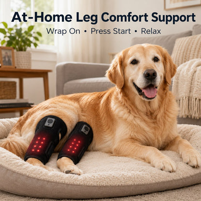 Rechargeable Red Light Therapy Dog Knee Wrap for Senior Dogs - At-Home Leg Comfort Support for Post-Walk Stiffness & Mobility Care