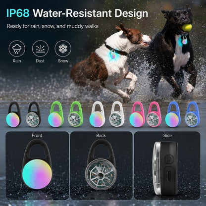 Rechargeable Clip-On LED Dog Safety Light for Night Walks - Keeps Pets Visible During Evening Walks, Jogging & Outdoor Adventures