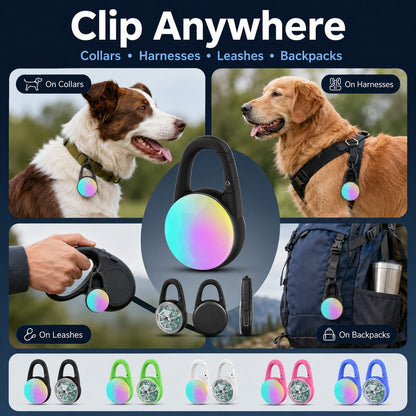 Rechargeable Clip-On LED Dog Safety Light for Night Walks - Keeps Pets Visible During Evening Walks, Jogging & Outdoor Adventures