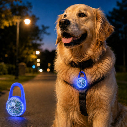 Rechargeable Clip-On LED Dog Safety Light for Night Walks - Keeps Pets Visible During Evening Walks, Jogging & Outdoor Adventures