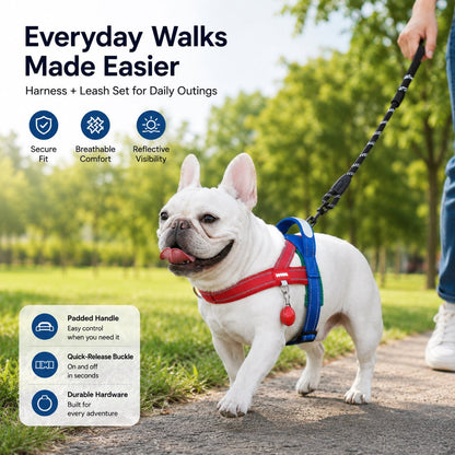 No-Choke French Bulldog Harness & Leash Set for Daily Walks - Reflective, Easy-Control Fit for Broad-Chest Dogs