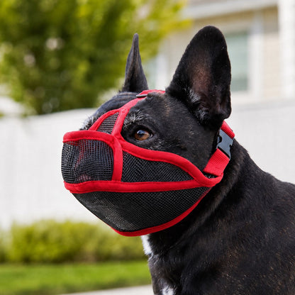 French Bulldog Breathable Mesh Muzzle for Walks, Grooming & Scavenging Control - Drink-Friendly Short-Snout Dog Muzzle