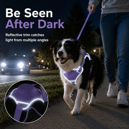 No-Pull Reflective Dog Harness with Built-In Retractable Leash for Safer Daily Walks