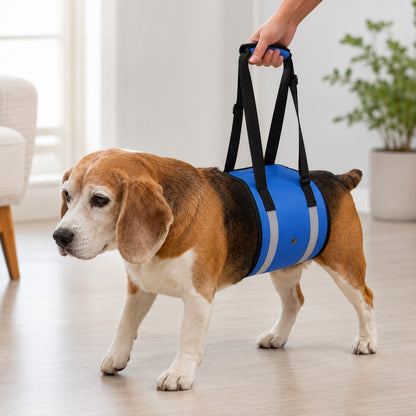 Reflective Dog Lift Support Sling - Belly Assist for Dogs with Limited Mobility on Stairs, Walks & Car Entry