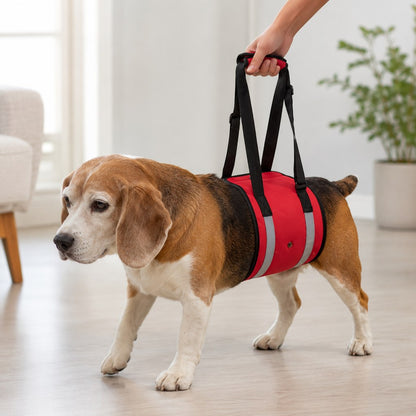 Reflective Dog Lift Support Sling - Belly Assist for Dogs with Limited Mobility on Stairs, Walks & Car Entry
