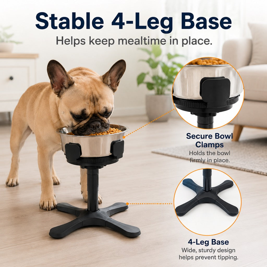 French Bulldog Adjustable Elevated Tilted Dog Bowl for Kitchen Feeding Corners - 3-Height Stand with Slow Feeder Insert to Reduce Neck Bending & Mess