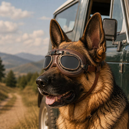 Retro Aviator Dog Goggles for Hiking & Road Trips - Adjustable Padded Eyewear That Helps Reduce Wind & Dust Exposure