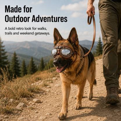 Retro Aviator Dog Goggles for Hiking & Road Trips - Adjustable Padded Eyewear That Helps Reduce Wind & Dust Exposure
