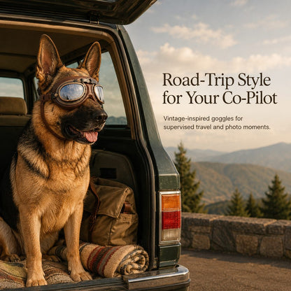 Retro Aviator Dog Goggles for Hiking & Road Trips - Adjustable Padded Eyewear That Helps Reduce Wind & Dust Exposure