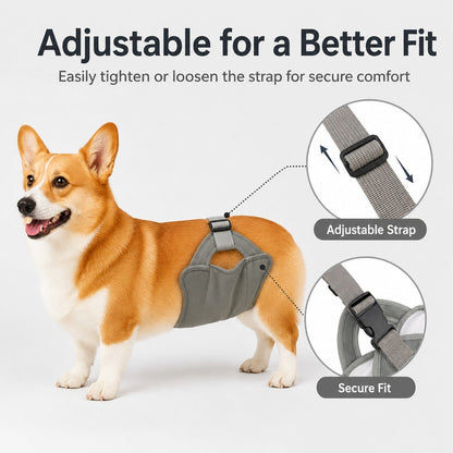 Reusable Female Dog Diaper for Heat Cycles - Adjustable Washable Sanitary Pants for Home & Travel