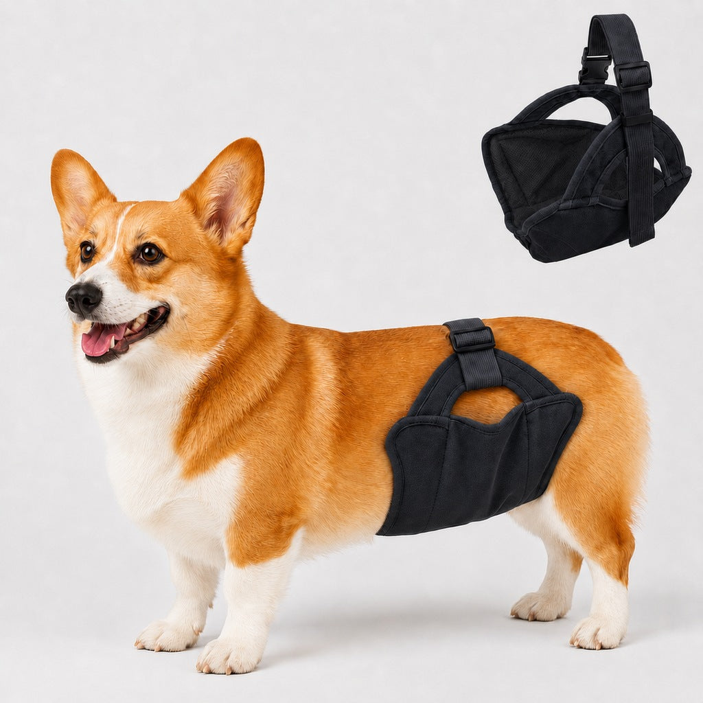 Reusable Female Dog Diaper for Heat Cycles - Adjustable Washable Sanitary Pants for Home & Travel