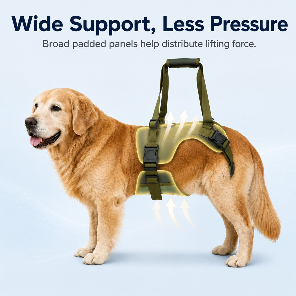 Rear Support Dog Lift Harness for Stairs, Walks & Recovery - Padded Assist Harness for Senior, Injured & Weak-Hind-Leg Dogs