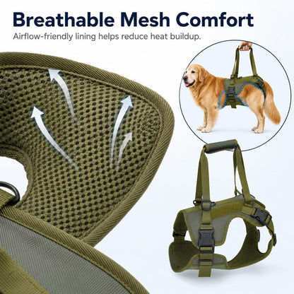 Rear Support Dog Lift Harness for Stairs, Walks & Recovery - Padded Assist Harness for Senior, Injured & Weak-Hind-Leg Dogs