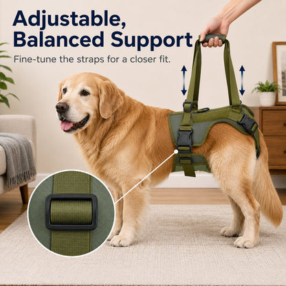 Rear Support Dog Lift Harness for Stairs, Walks & Recovery - Padded Assist Harness for Senior, Injured & Weak-Hind-Leg Dogs