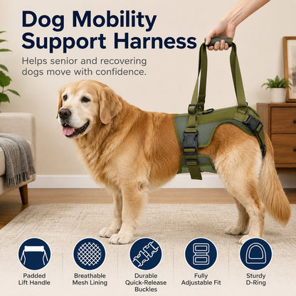 Rear Support Dog Lift Harness for Stairs, Walks & Recovery - Padded Assist Harness for Senior, Injured & Weak-Hind-Leg Dogs