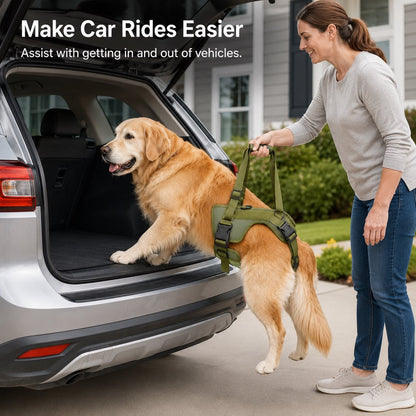 Rear Support Dog Lift Harness for Stairs, Walks & Recovery - Padded Assist Harness for Senior, Injured & Weak-Hind-Leg Dogs
