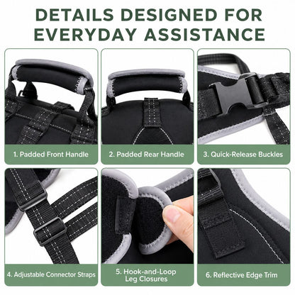 Full-Body Dog Lift Harness with Dual Rear-Leg Support - Easier Standing, Stairs & Car Entry