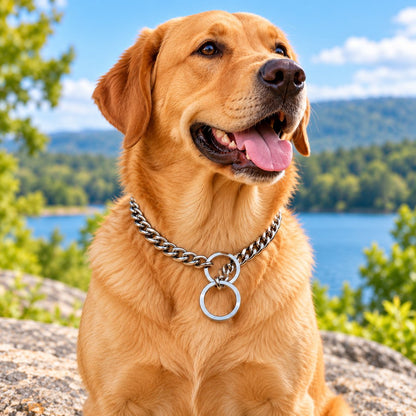 Stainless Steel Slip Chain Dog Collar for Walks & Training – Smooth Polished Links