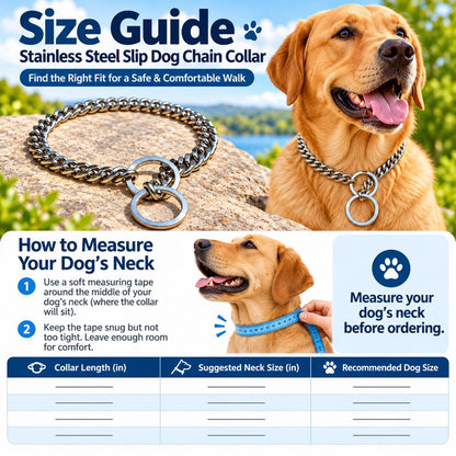 Stainless Steel Slip Chain Dog Collar for Walks & Training – Smooth Polished Links