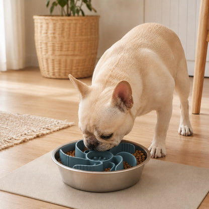 Cut-to-Fit Slow Feeder Insert & Stainless Steel Bowl Set for Fast-Eating Dogs & Cats
