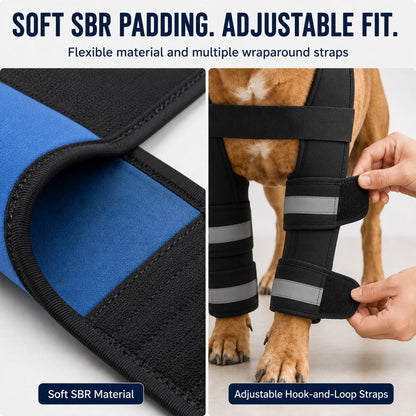 Dog Double Front Leg Support Brace for Unsteady Walking - Chest Harness with Internal Metal Support Inserts