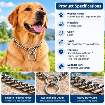 Stainless Steel Slip Chain Dog Collar for Walks & Training – Smooth Polished Links
