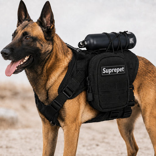 Tactical Dog Harness Backpack for Large Dogs - Outdoor Walking, Training & Hiking Gear with Load Carrying Pouch