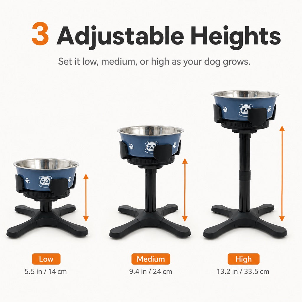 French Bulldog Adjustable Elevated Tilted Dog Bowl for Kitchen Feeding Corners - 3-Height Stand with Slow Feeder Insert to Reduce Neck Bending & Mess