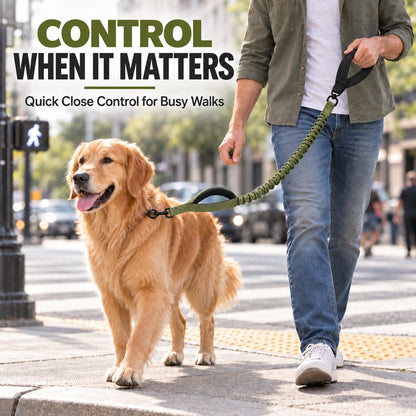 Dual Handle Shock-Absorbing Bungee Dog Leash for City Walks, Jogging & Hiking - Softer Pulls, Quick Close Control