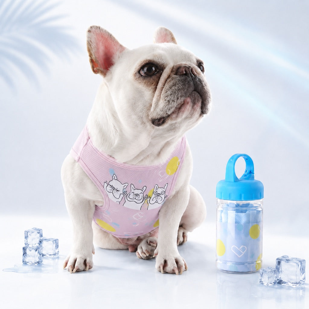 French Bulldog Cooling Vest for Hot Summer Walks