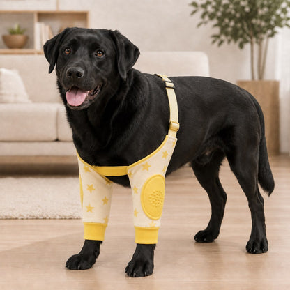 Padded Dog Elbow Protector Sleeves for Hard Floors - Dual Front-Leg Coverage for Pressure & Rubbing